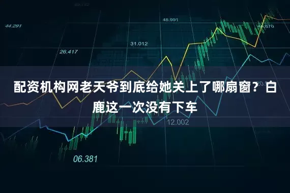 配资机构网老天爷到底给她关上了哪扇窗？白鹿这一次没有下车