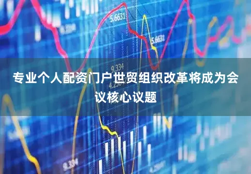 专业个人配资门户世贸组织改革将成为会议核心议题