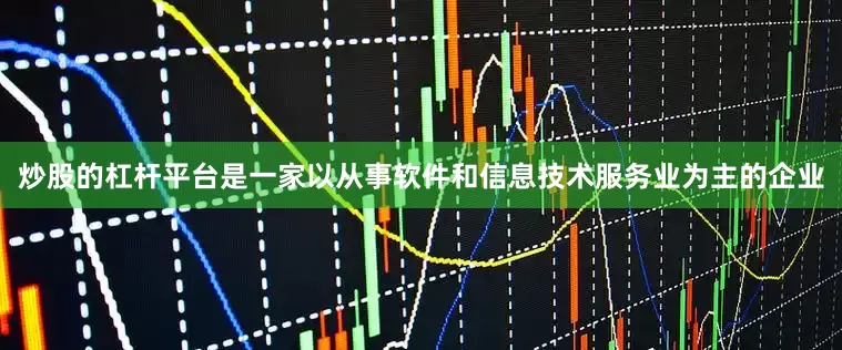 炒股的杠杆平台是一家以从事软件和信息技术服务业为主的企业