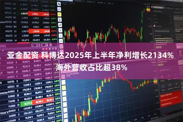亚金配资 科博达2025年上半年净利增长2134% 海外营收占比超38%